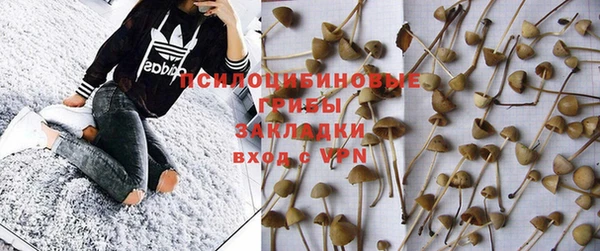 apvp Абдулино
