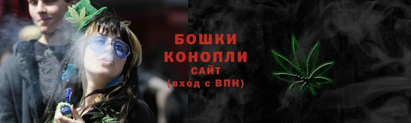 сатива Абинск