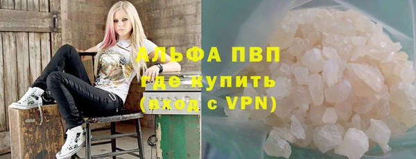 прущие грибы Алексин