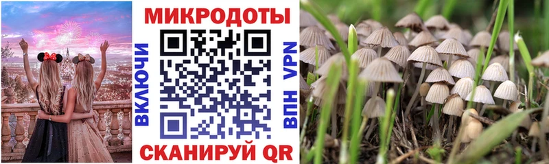 где купить наркотик  мега маркетплейс  Галлюциногенные грибы MAGIC MUSHROOMS  Агидель 